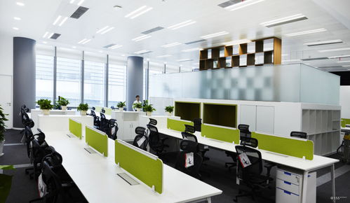 看准网 网络科技开发的领航者与变革者